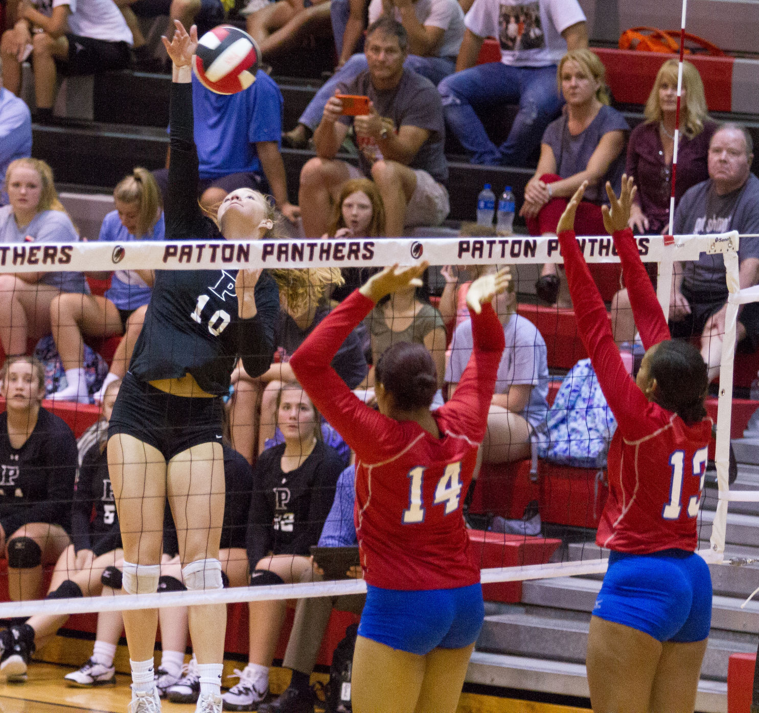Free Patt vball 4.jpg